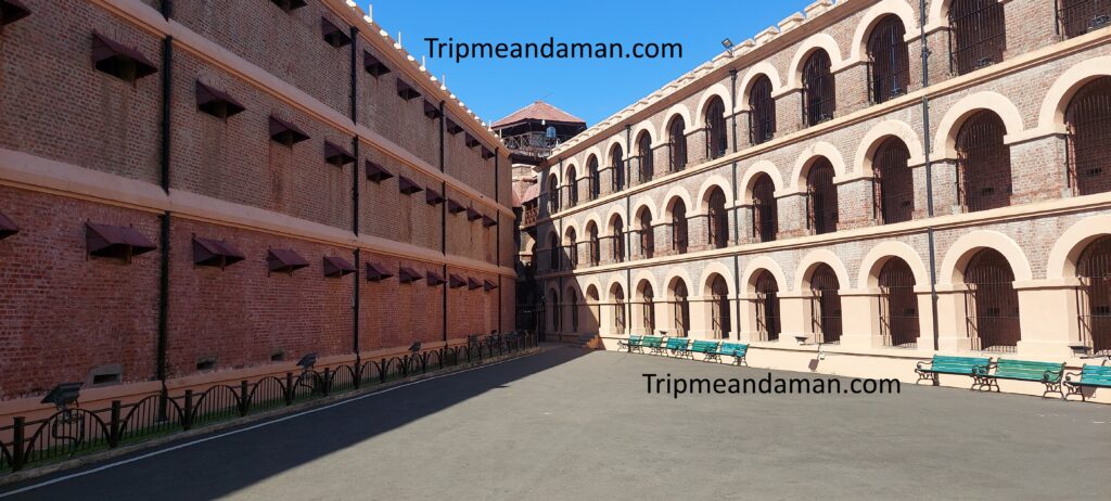 Cellular Jail