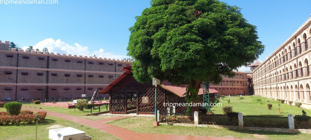 Cellular Jail