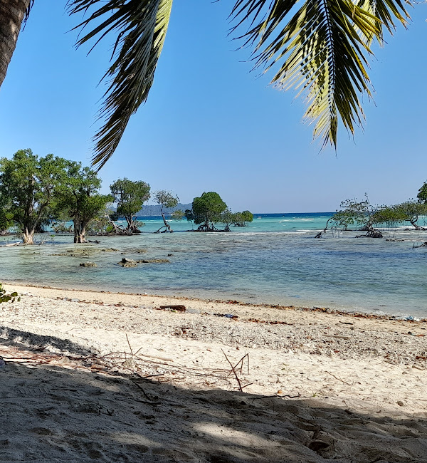 Laxmanpur Beach