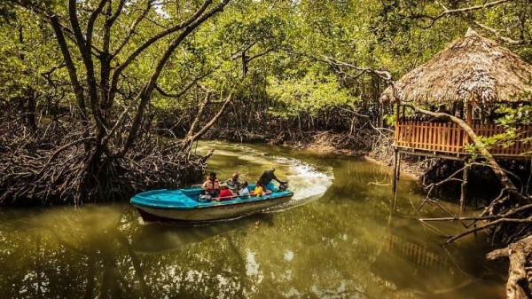 In Baratang Sailing through small boat to see the Mangroves.