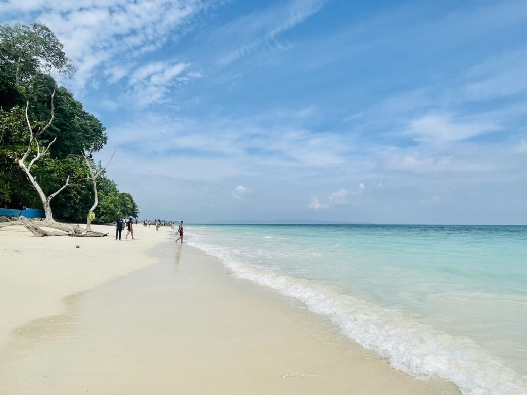 Image Credit : Andaman tourism 
@TourismDeptANI