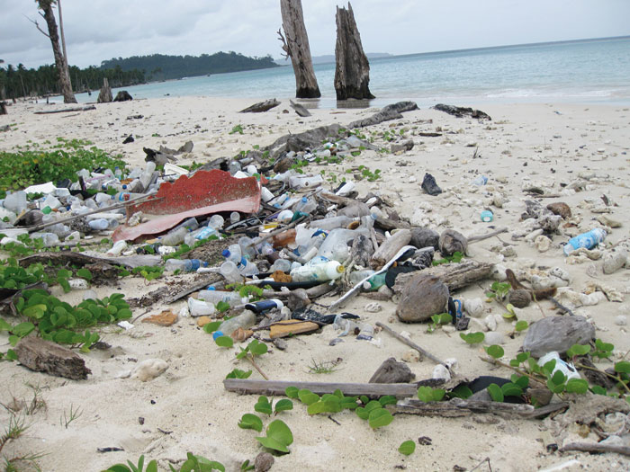 Pollution  Foreign litter on Great Nicobar beaches