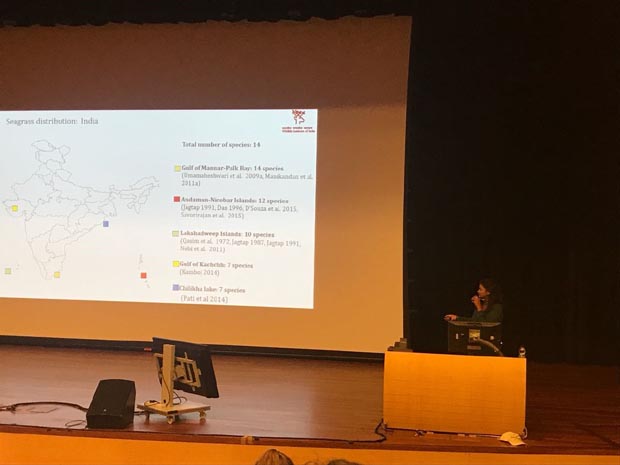 Presentation at World Seagrass Conference 11-17 June 2018