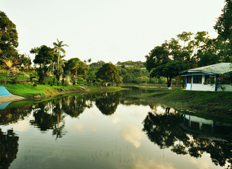 Gandhi Park