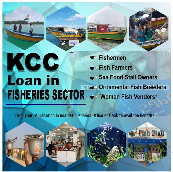 Kisan Credit Card in Fisheries Sector