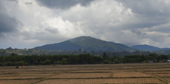 Saddle Peak