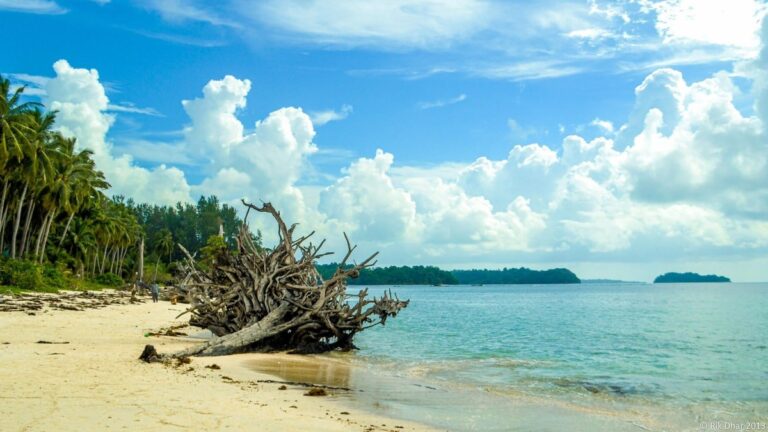 wandoor-Island-andaman-1