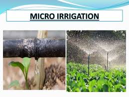 
Micro Irrigation