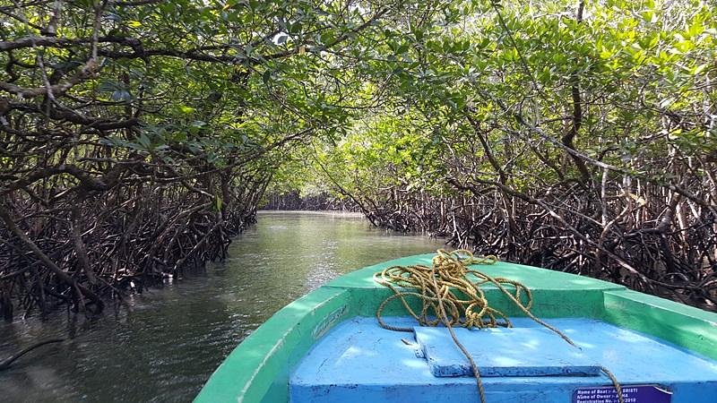 Boat ride from NAYADERA