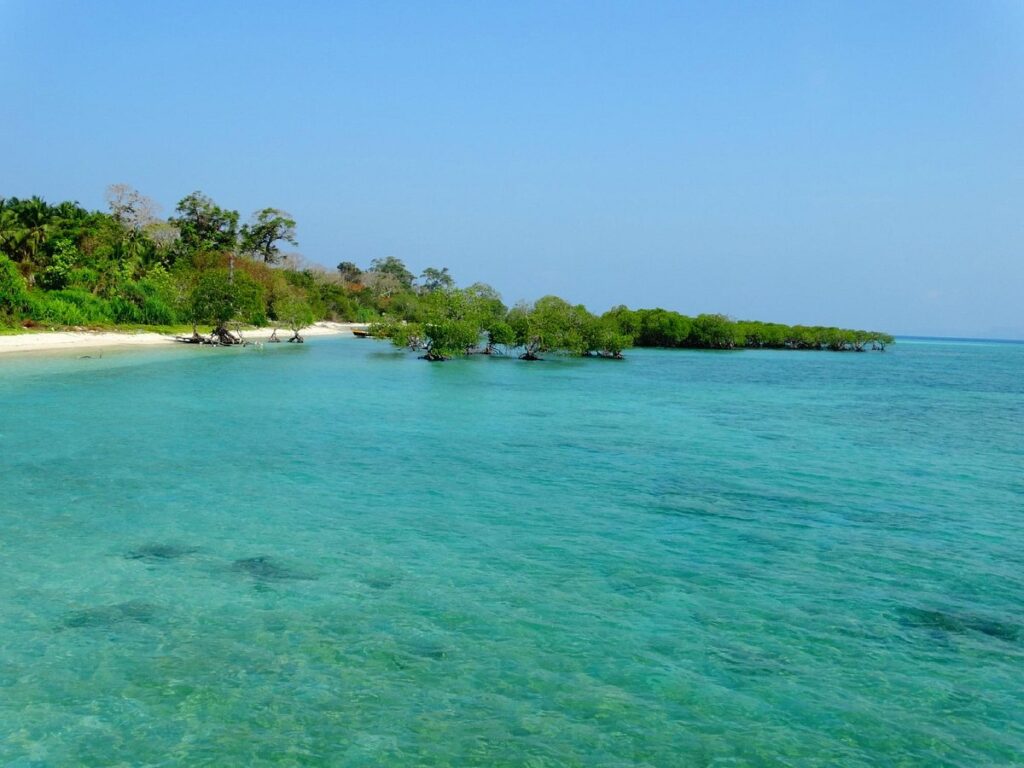 Neil island Andaman and Nicobar