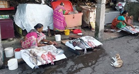 Haddo Fish Market of Andamans