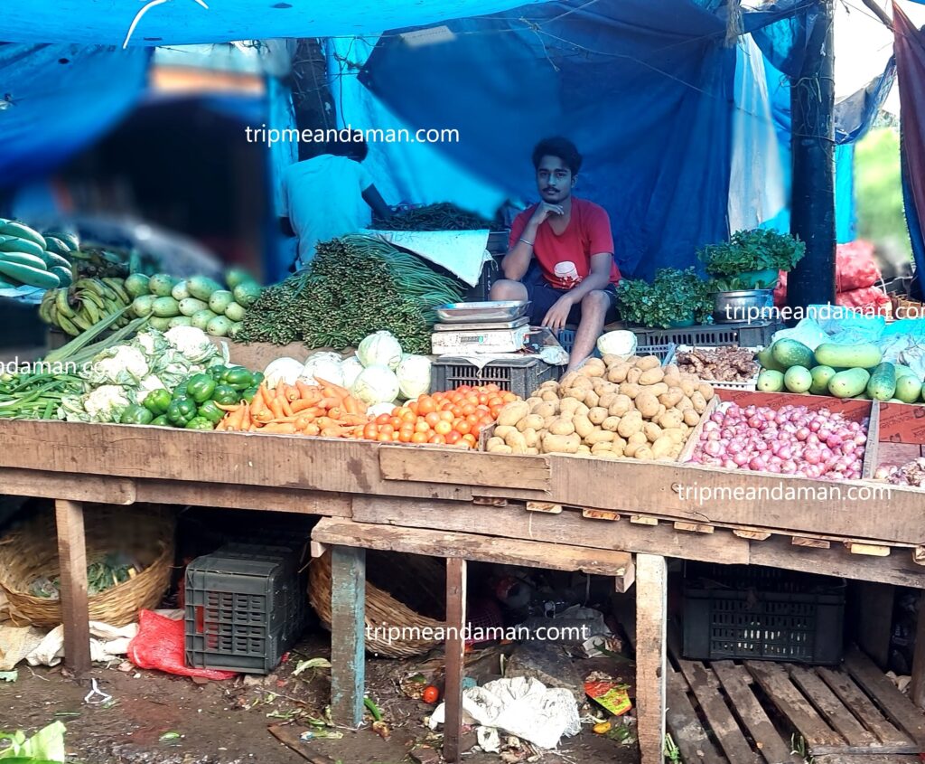 Haddo Vegetable Market Andamans
