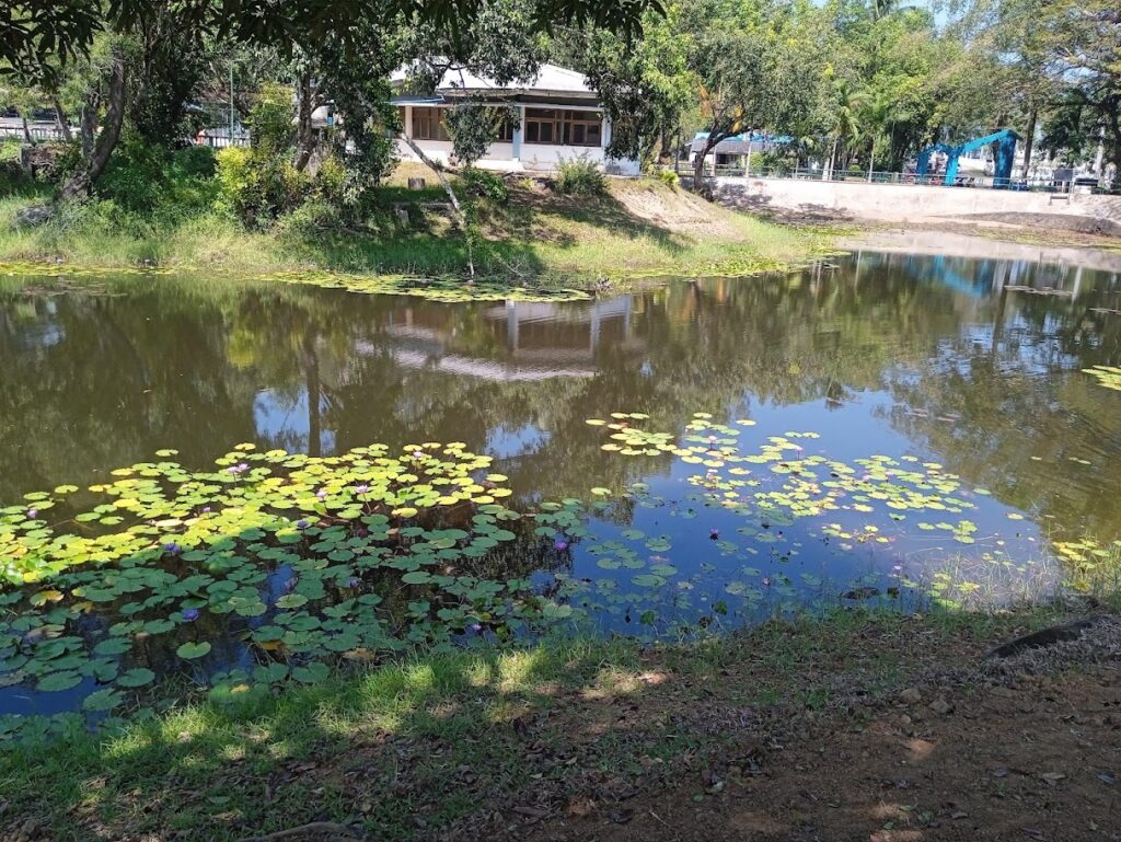 Poem: Truth Of Andaman