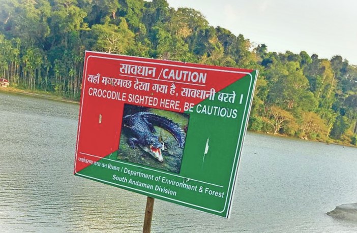 Andaman’s Giant Crocodile Incident