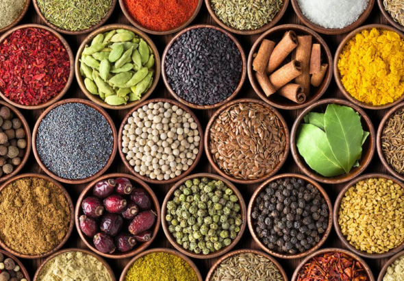 Screenshot 2026-01-11 000702